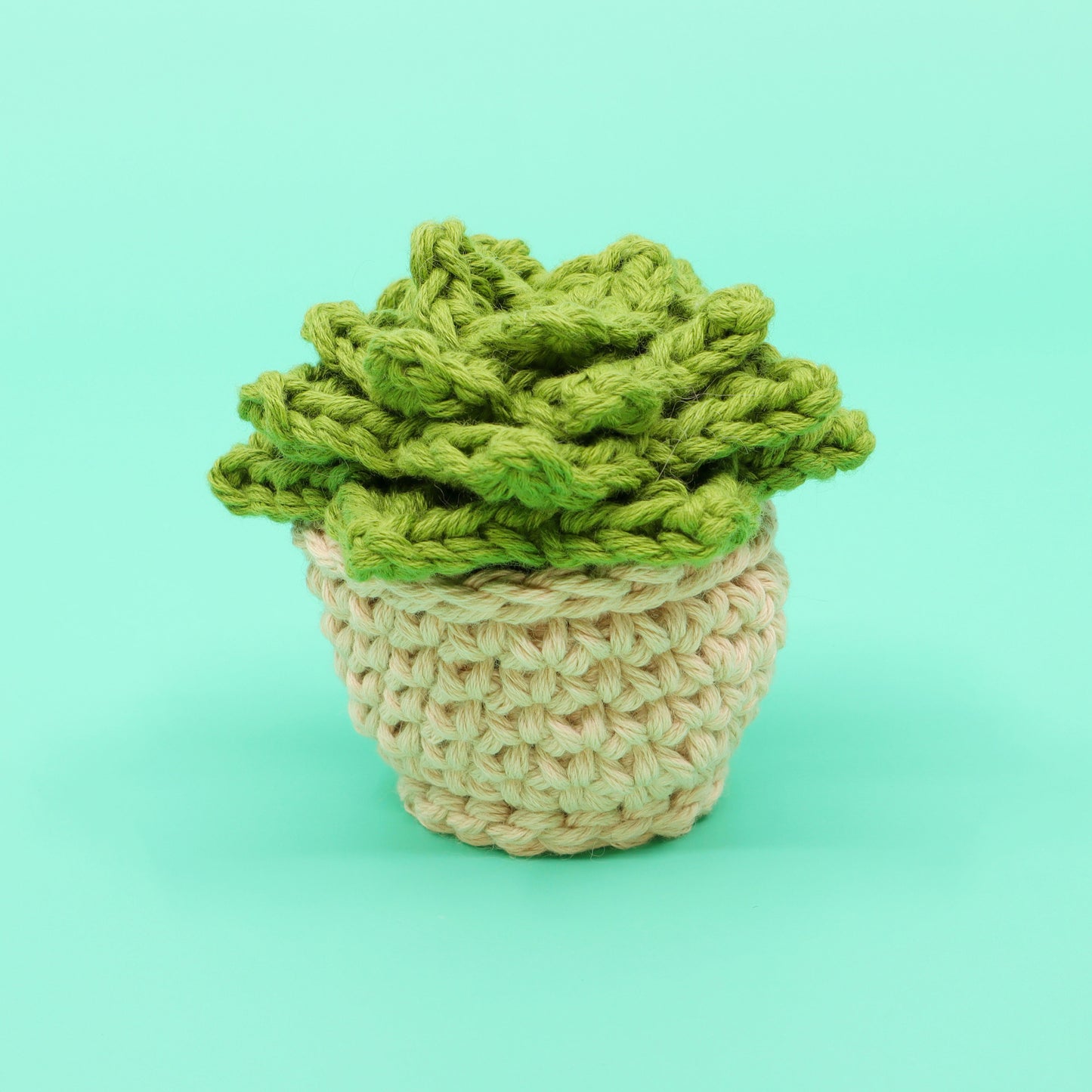 Succulent Planter Amigurumi Crochet Pattern - Interactive Digital Pattern, Video Tutorial, and PDF