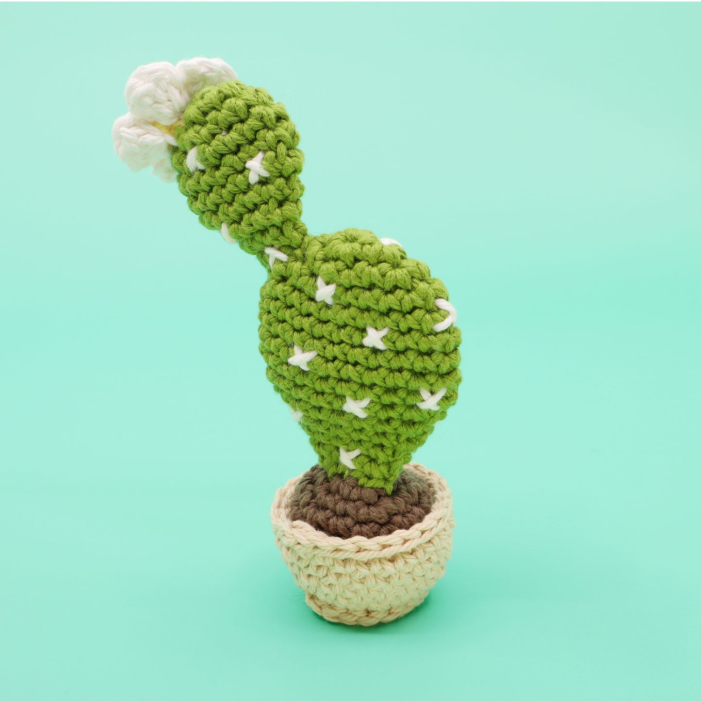 Flat Cactus Planter Amigurumi Crochet Pattern - Interactive Pattern, Video Tutorial, and PDF