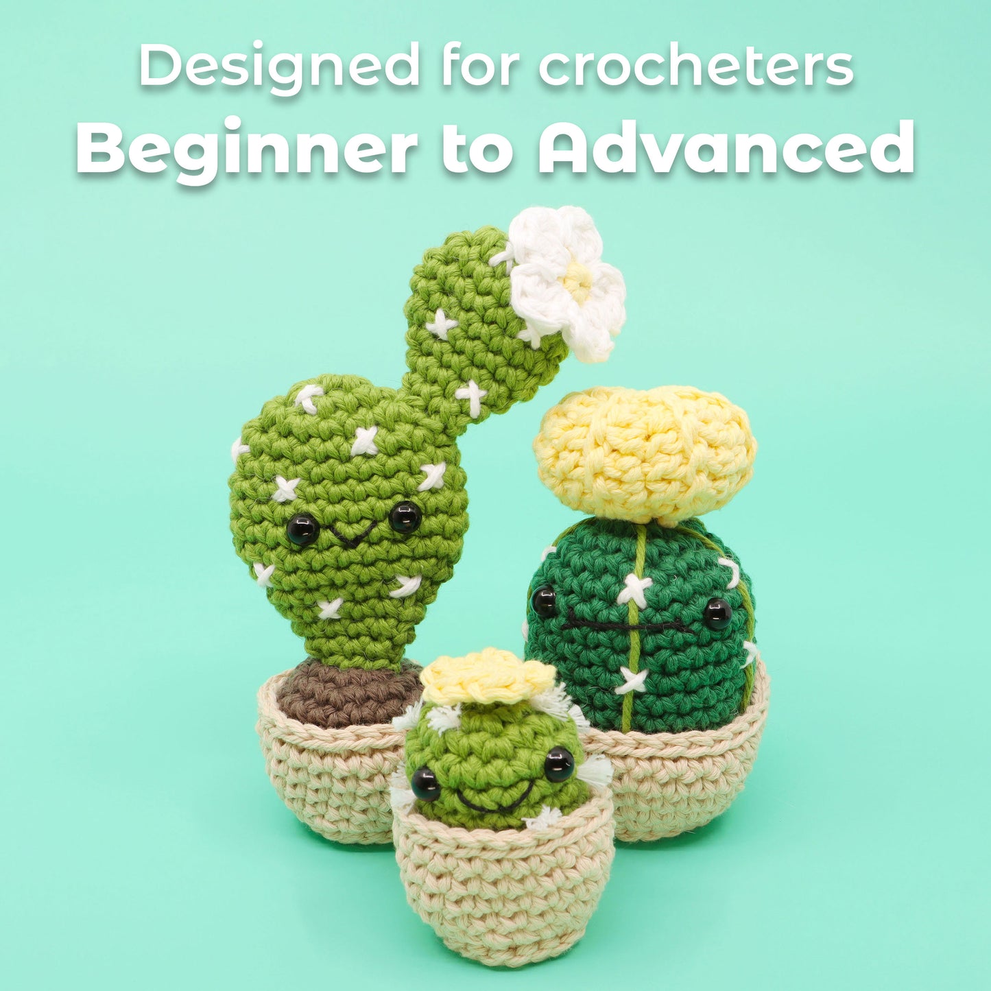 Cactus and Succulent Crochet Kit - Beginner to Advanced Amigurumi Yarn Kit - Learn to Crochet!