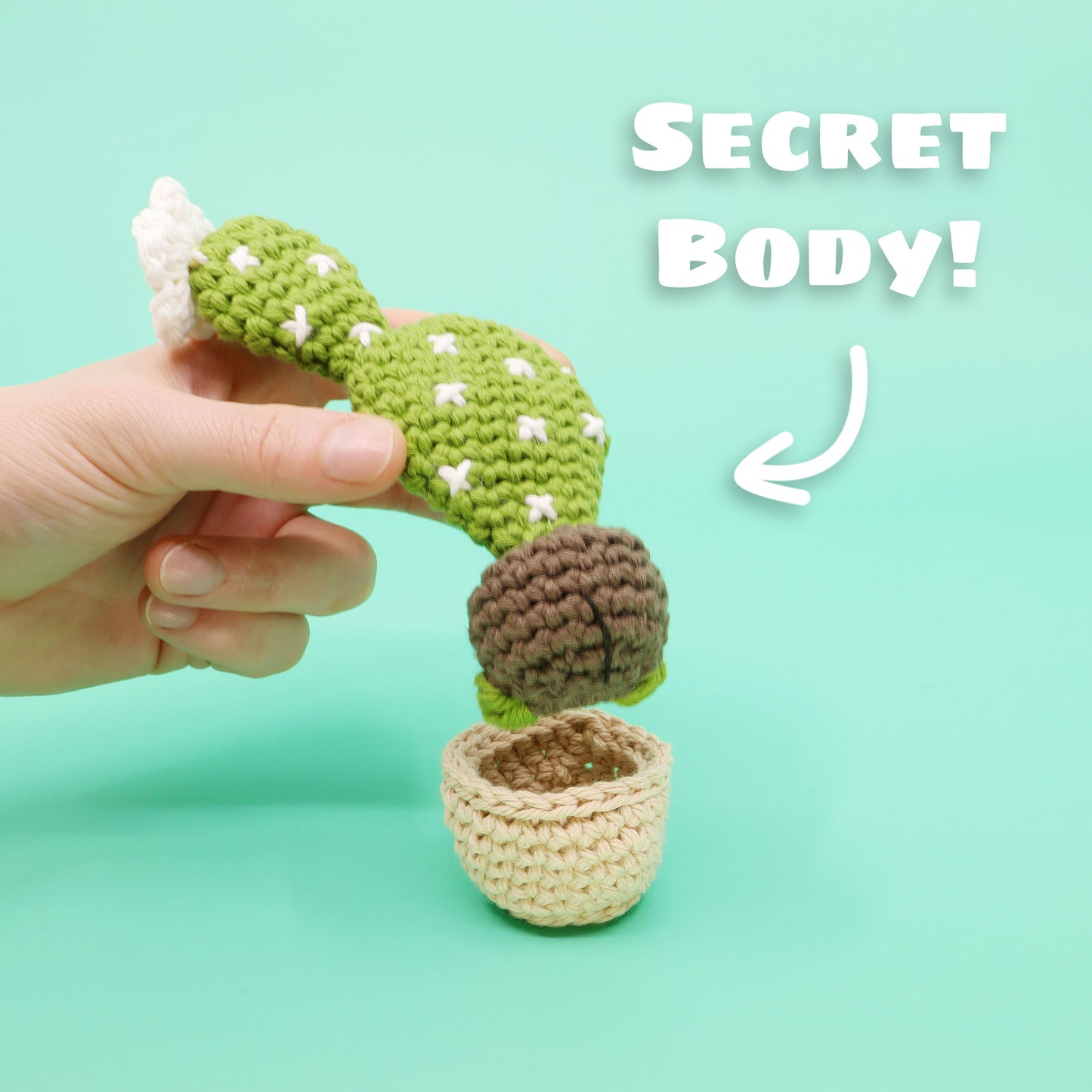 Flat Cactus Planter Amigurumi Crochet Pattern - Interactive Pattern, Video Tutorial, and PDF