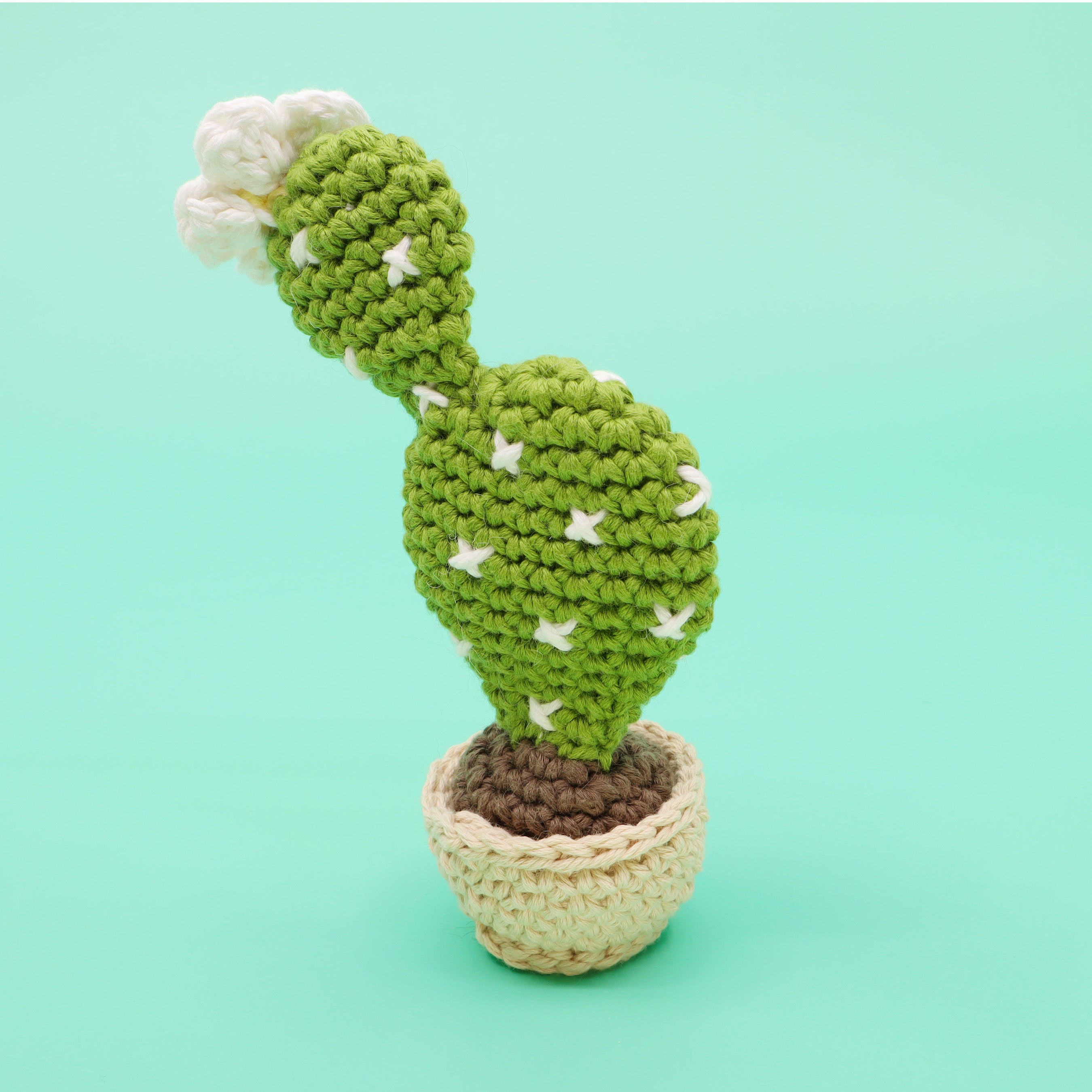 Flat Cactus Planter Amigurumi Crochet Pattern - Interactive Pattern, V ...