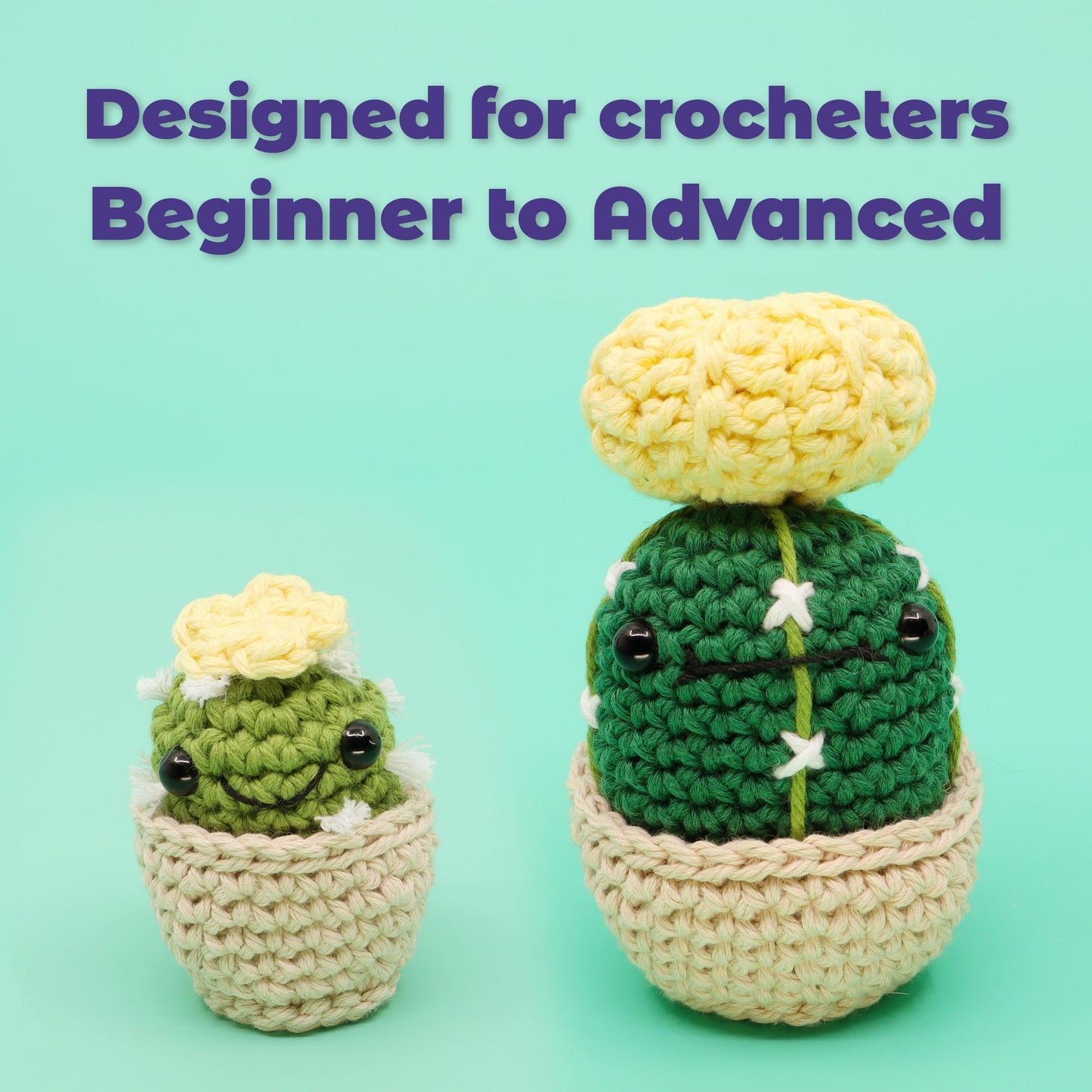 Seasonal Crochet Kit: Photosynthesis - Plant Life and Nature Learn to –  Club Crochet