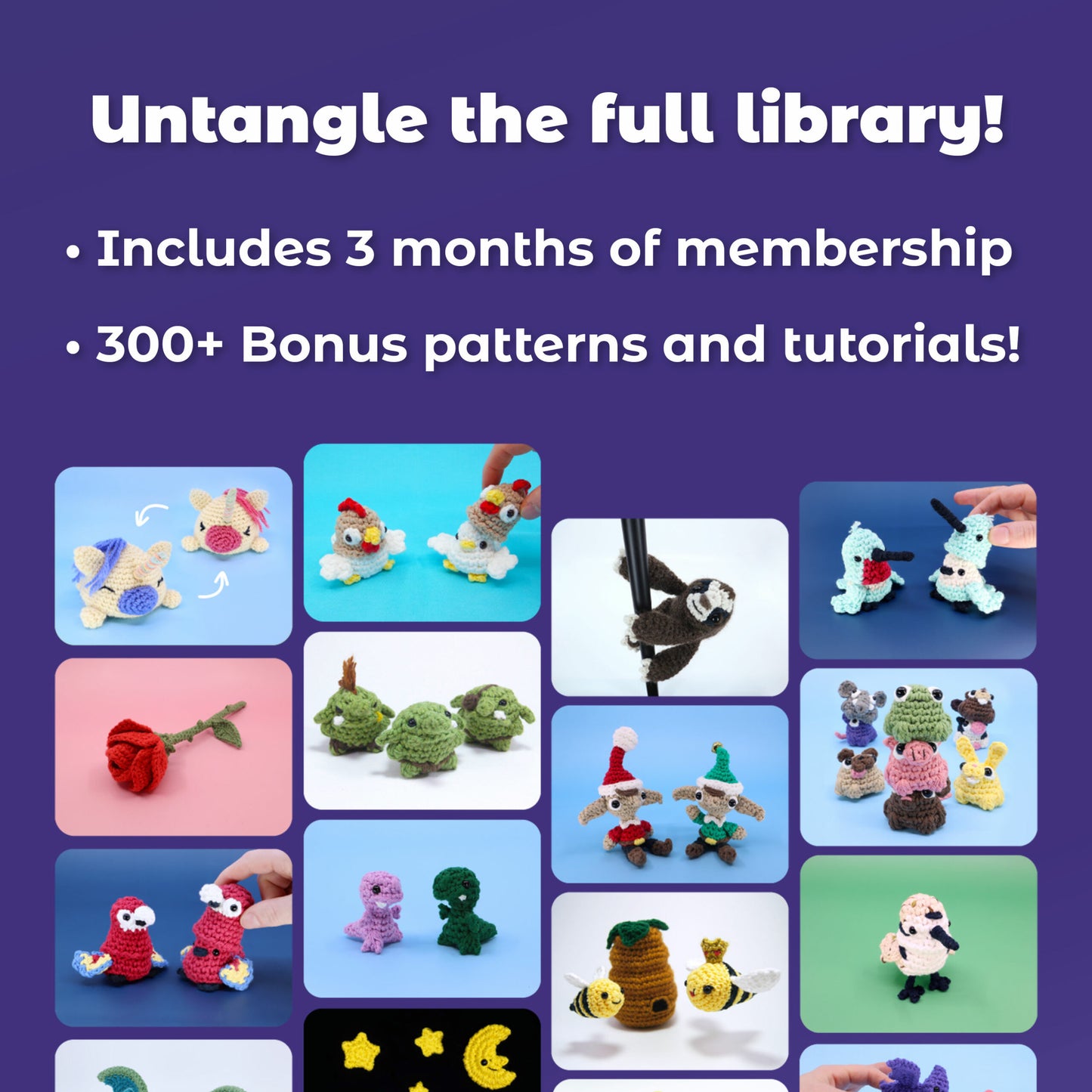 Themed Crochet Kit Bundle - Dinosaur + Cactus + Whale Beginner Crochet Kits